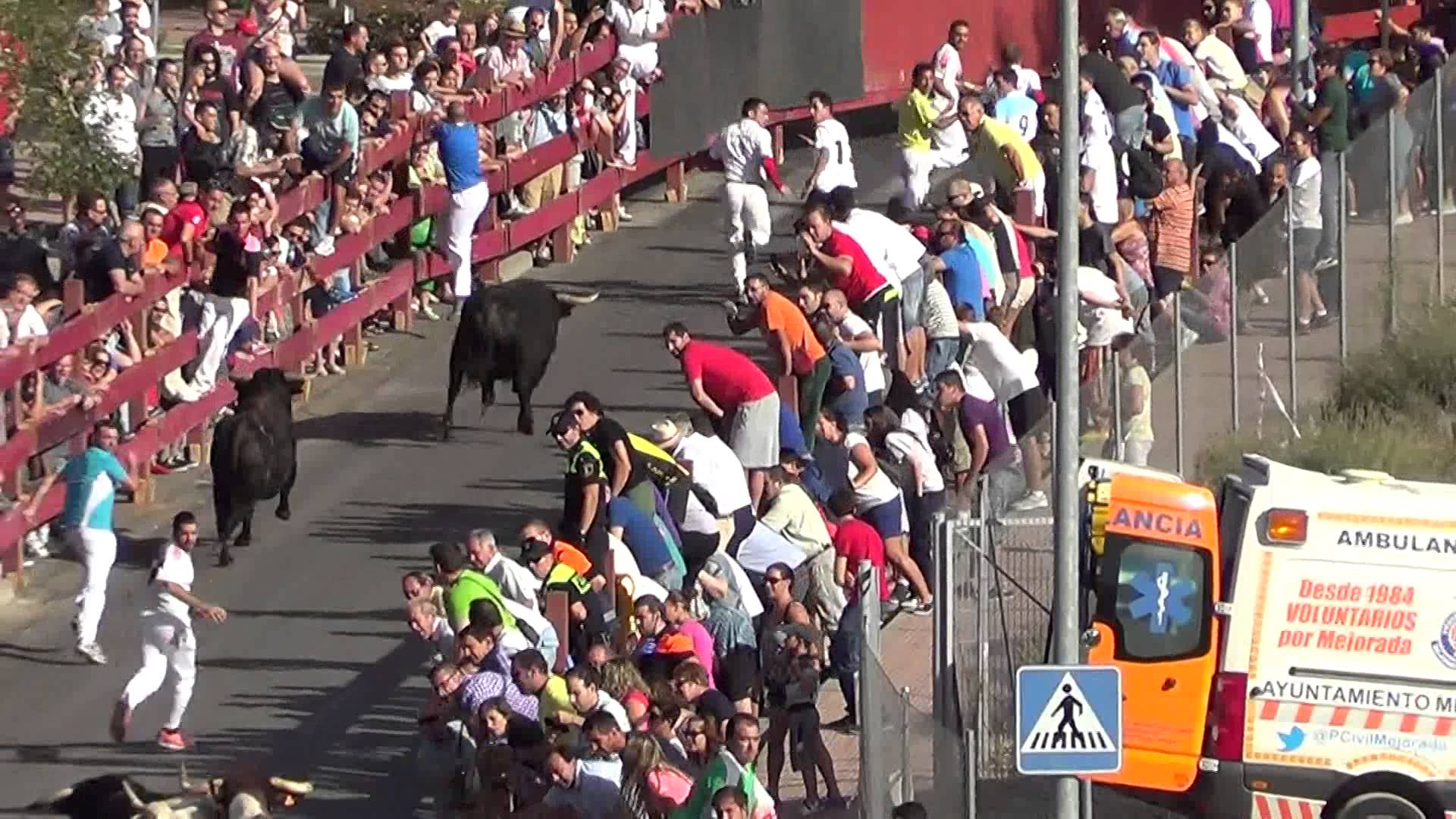 Comienzan los encierros de las Fiestas de Alcalá 2014