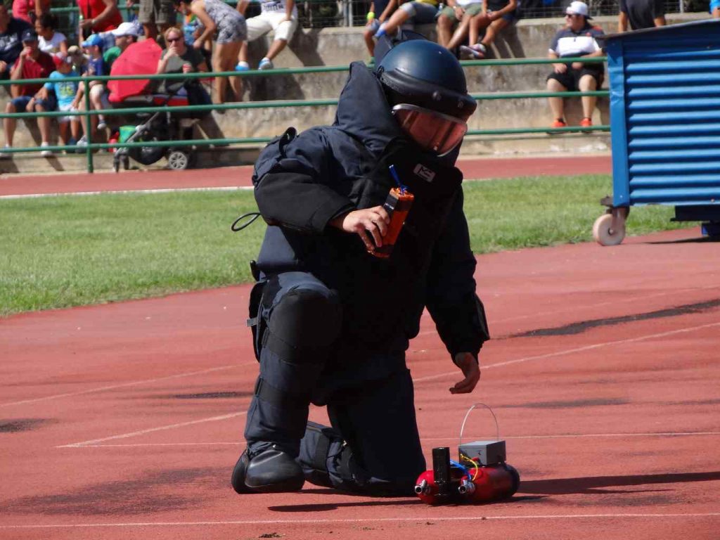 Desfile Fuerzas armadas y cuerpos de seguridad del estado 2015 (92)