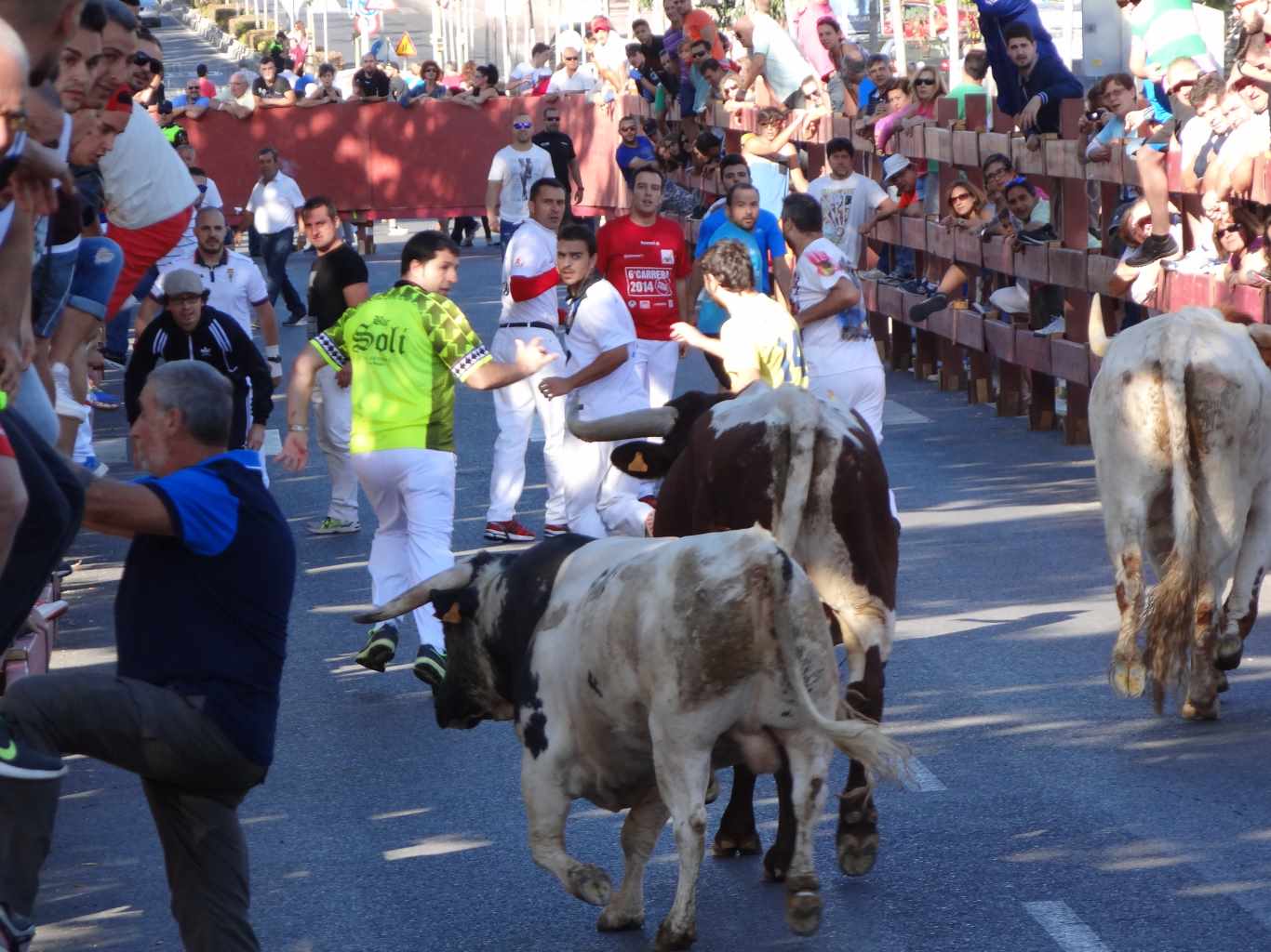 Primer encierro Fiestas 2015 (54)