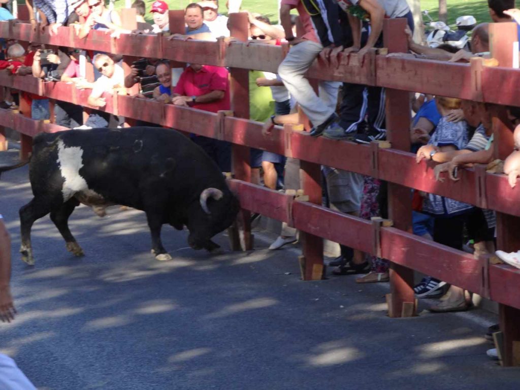 Primer encierro Fiestas 2015 (71)