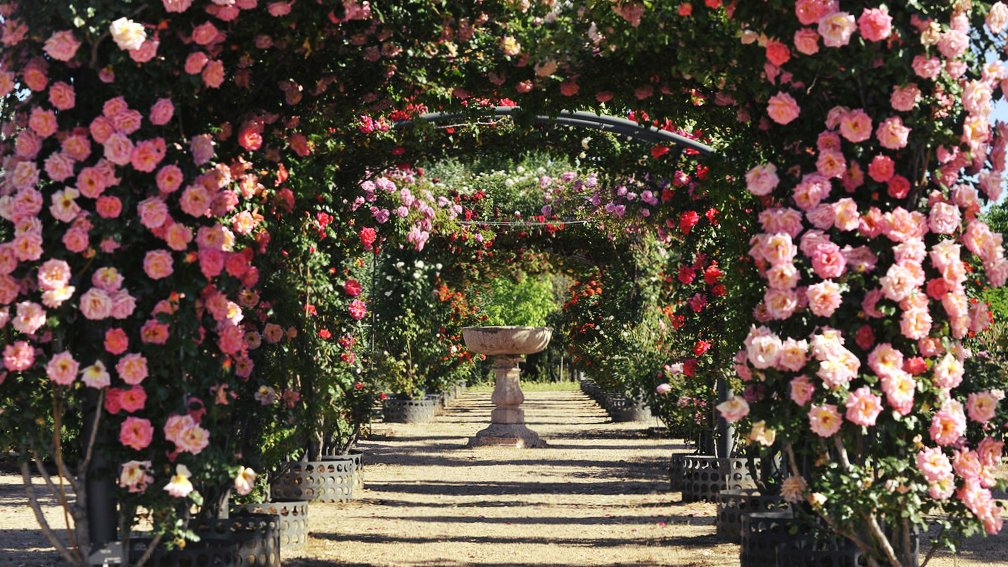 La Rosaleda Jardín Botánico