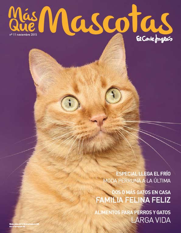Mas-que-mascotas