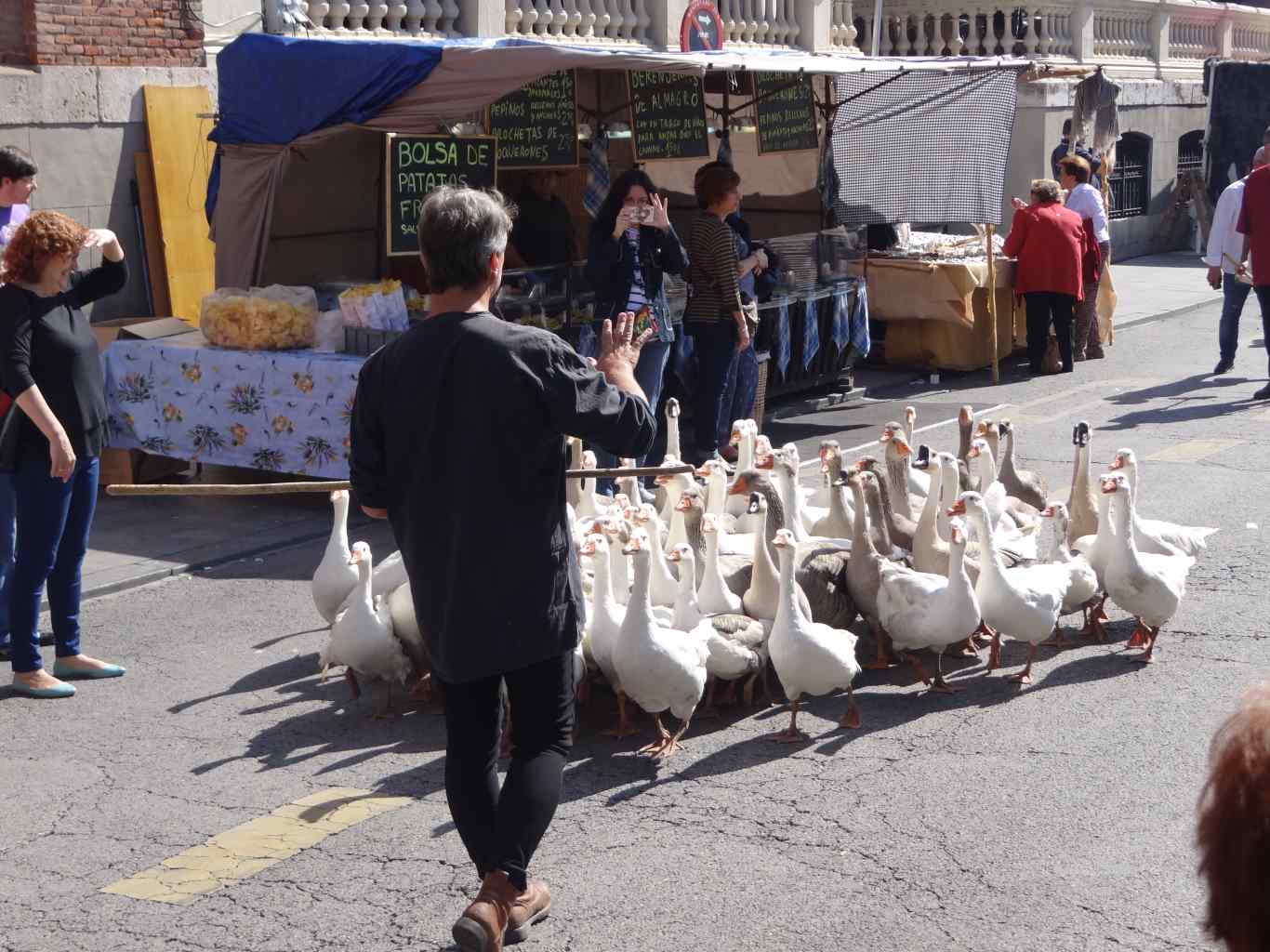 Mercado Medieval 2015 - Día 2 - 9 de octubre - 1366 (212)