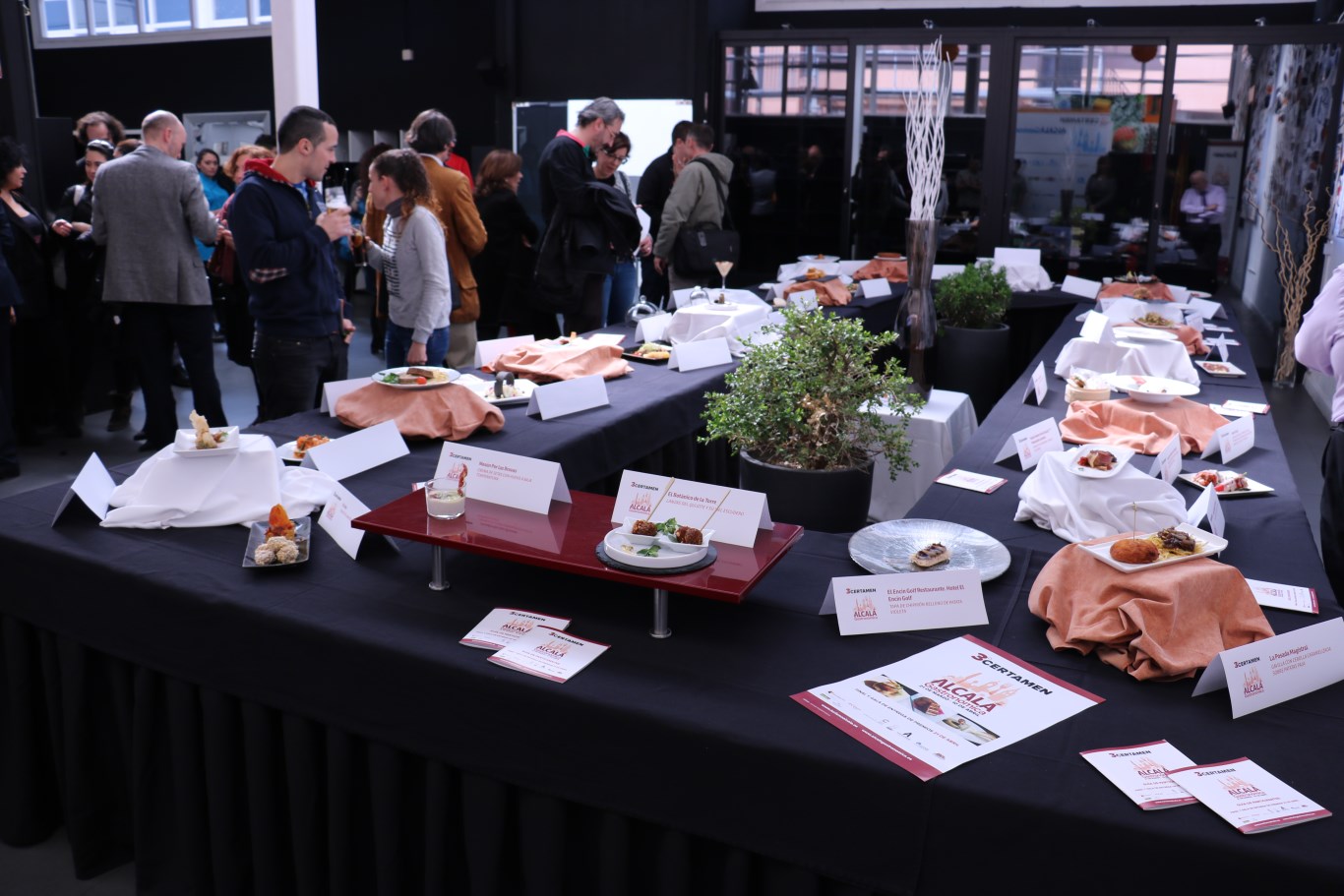 Presentación Alcalá Gastronómica 2016 (70)