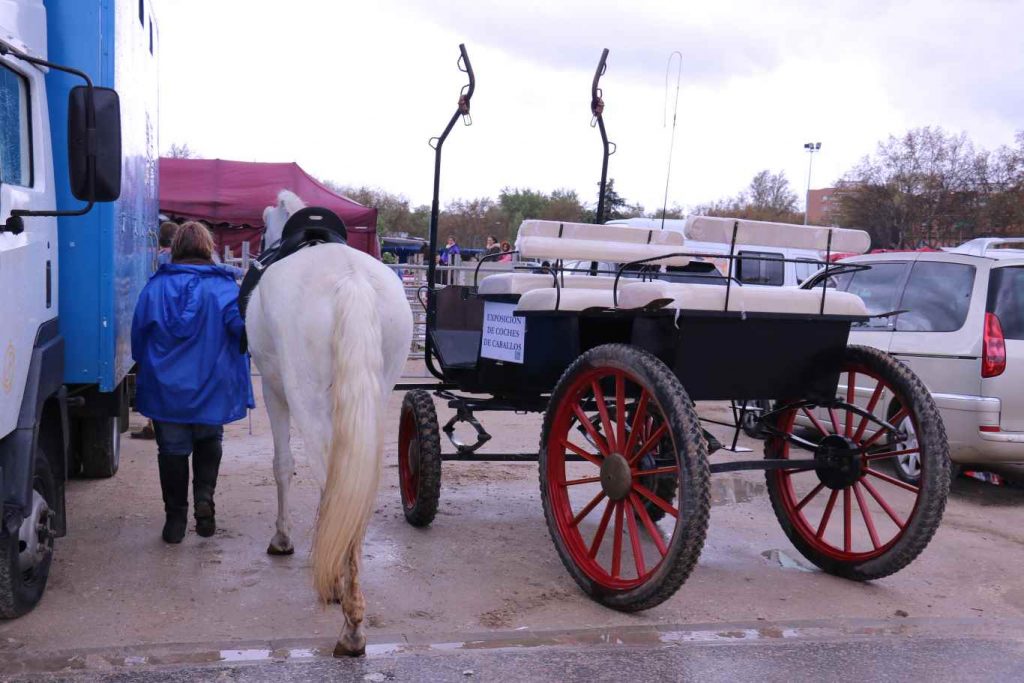 Inauguración Feria del Libro 2016 (310)