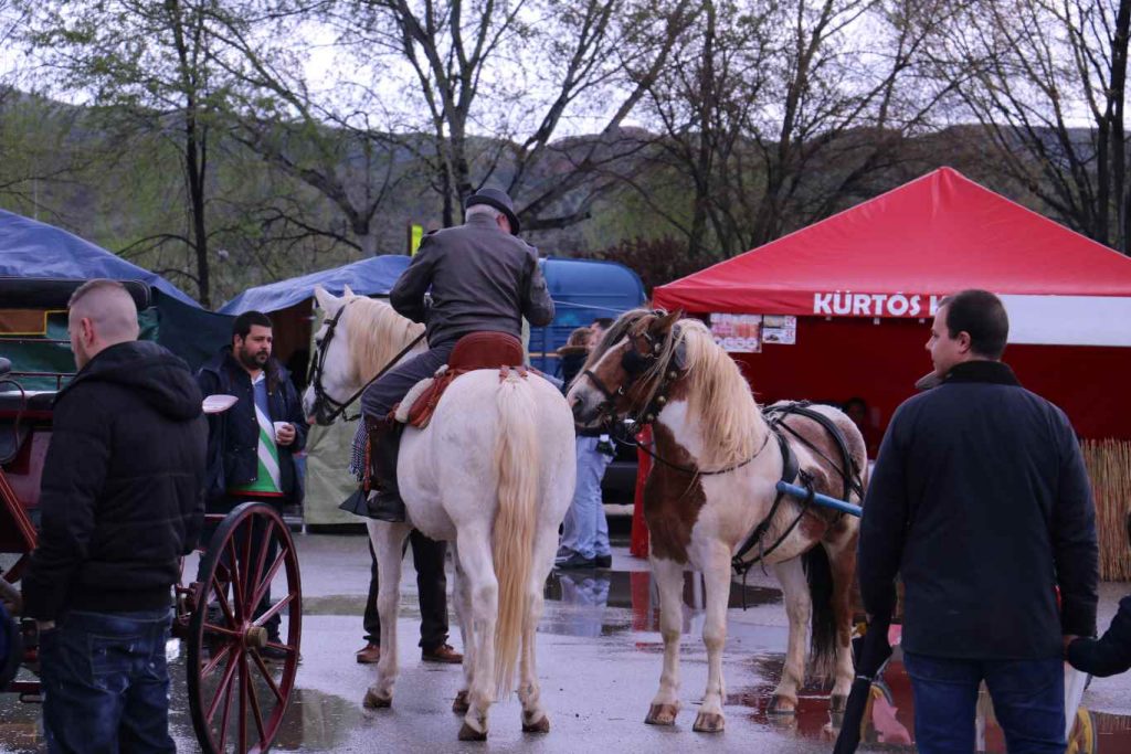 Inauguración Feria del Libro 2016 (372)