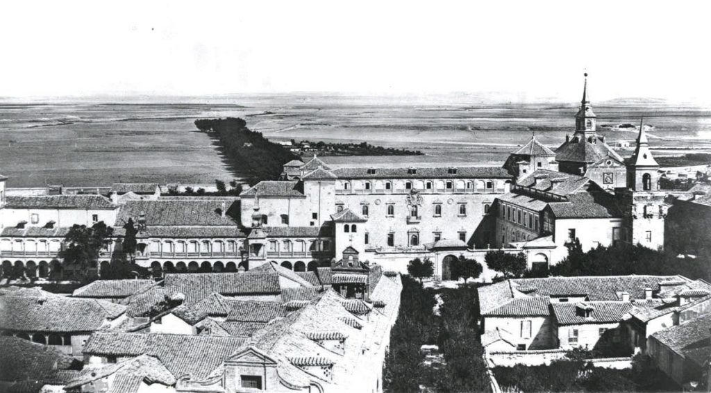 Vista panorámica del Palacio Arzobispal desde la torre de la Magistral. Fotografia de J. Laurent (186?)