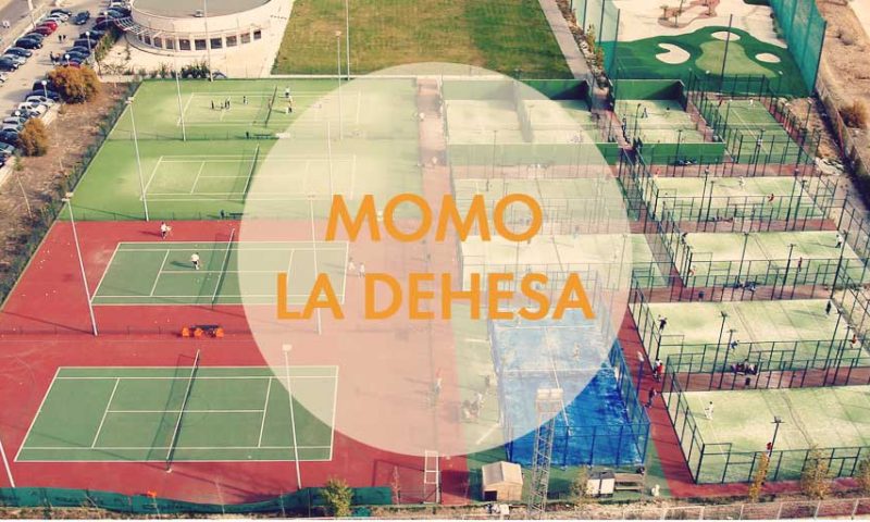 momo_la_dehesa-800x480