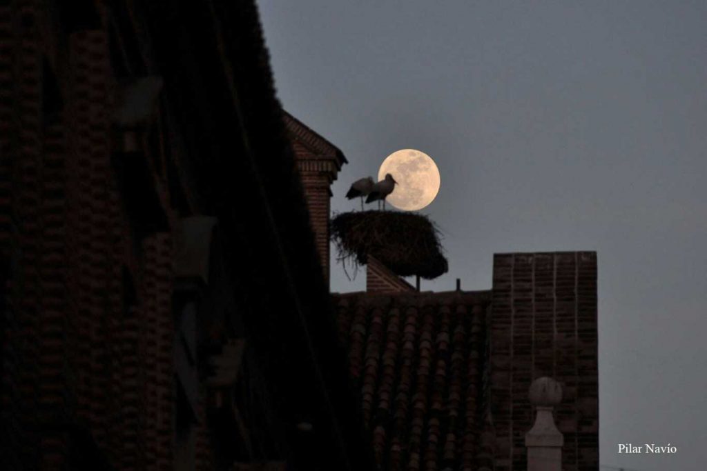 la-luna-en-alcala-segun-pilar-navio-12