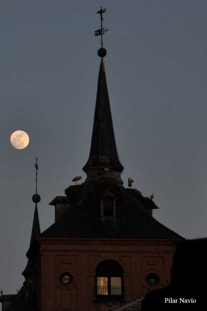 la-luna-en-alcala-segun-pilar-navio-13