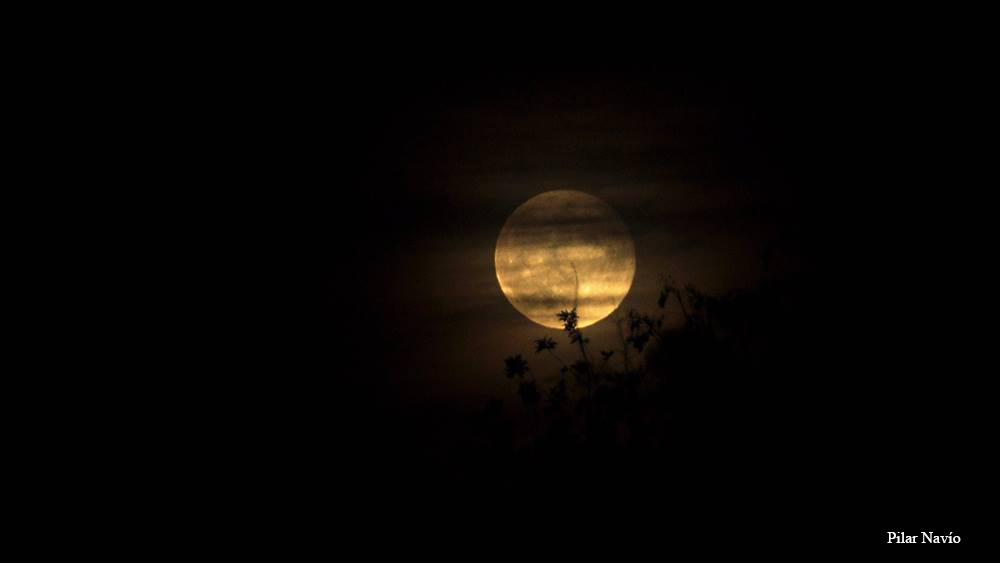 la-luna-en-alcala-segun-pilar-navio-2