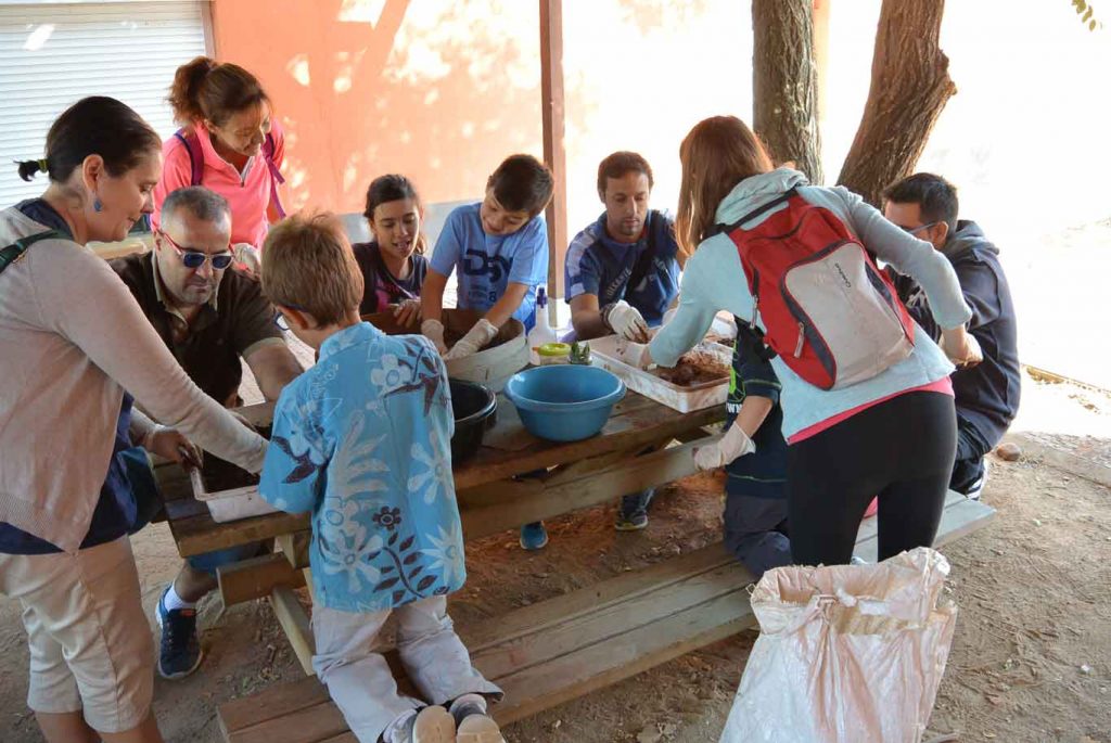 voluntariado-ambiental-en-el-parq-1