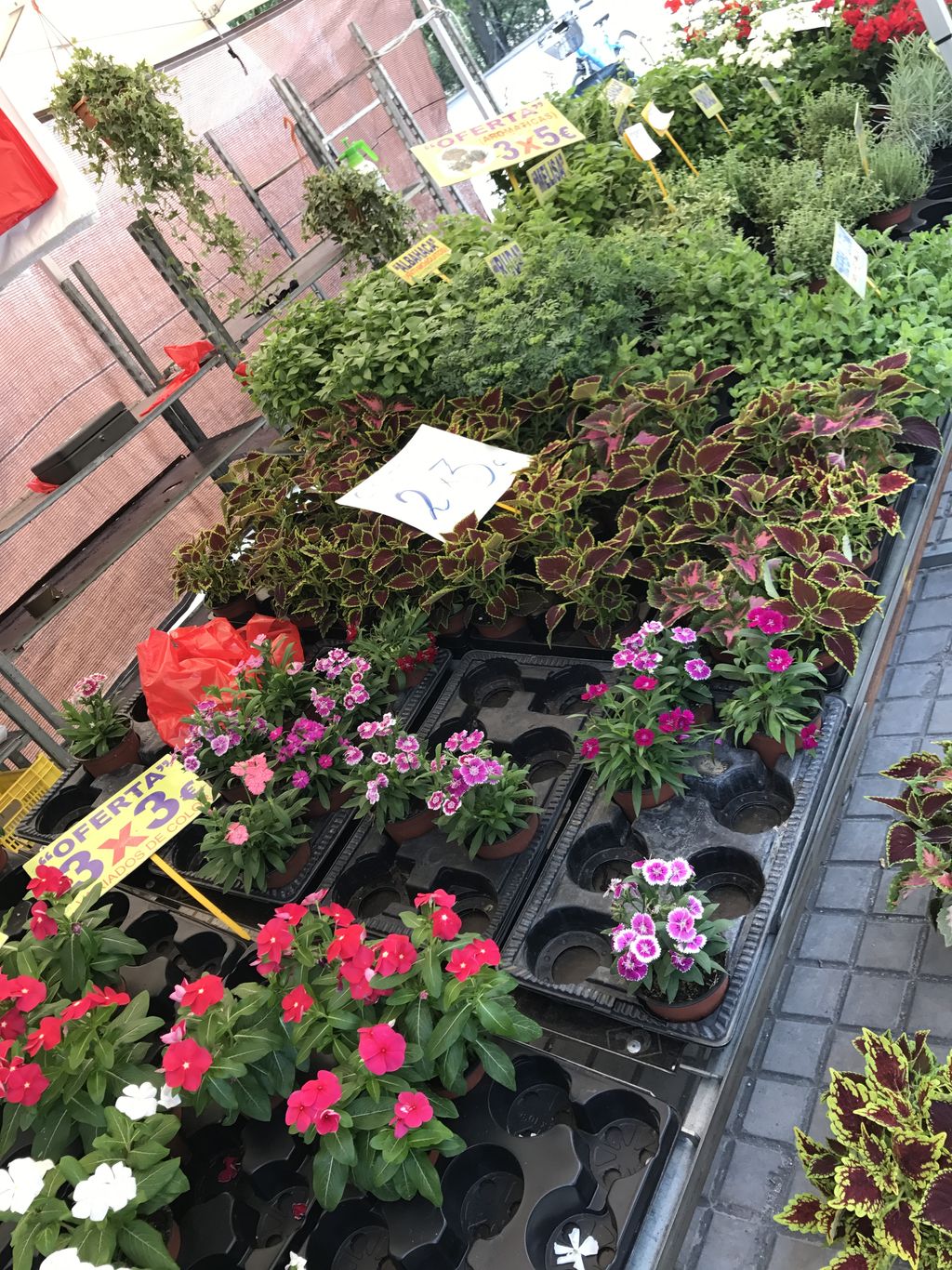 Mercadillo de Los Lunes de Alcalá de Henares