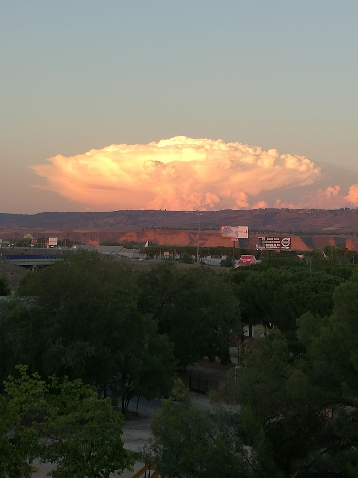 Hongo nuclear La Dehesa Alcalá de Henares