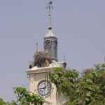 Plaza de Cervantes - Torre del Ayuntamiento