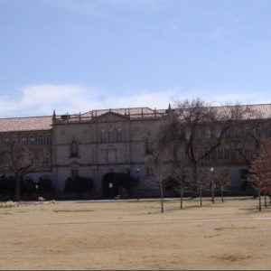 Universidad Tecnológica de Texas o Texas Tech University