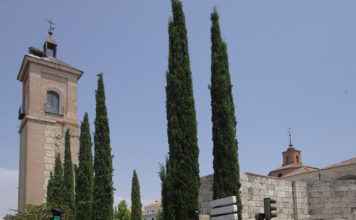 Torre de Santa María - Iglesia de Santa María - Alcalá de Henares