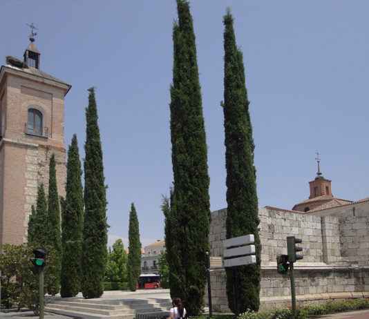 Torre de Santa María - Iglesia de Santa María - Alcalá de Henares