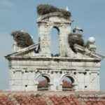 Espadaña que la corona la Capilla de San Ildefonso