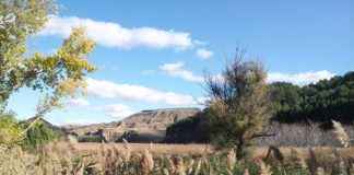 El cerro del Ecce Homo desde la ribera el río Henares - Ursula Cargill Garcia Zimmerm