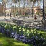 Plaza de Palacio - Úrsula Cargill García