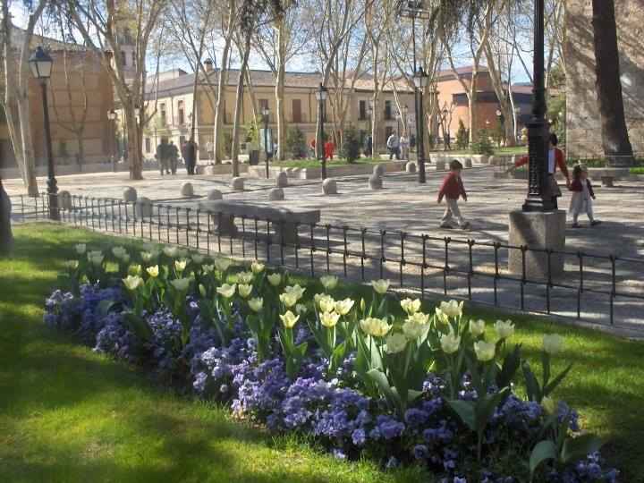 Plaza de Palacio - Úrsula Cargill García