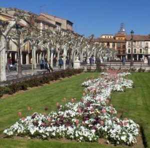 Alcalá in Just a Morning