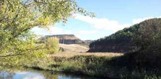 Ribera del río Henares - Úrsula Cargill García