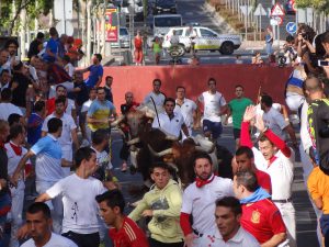 Comienzan los encierros de las Fiestas de Alcalá 2014