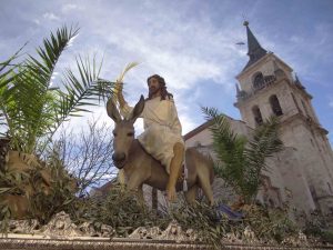 Resumen fotográfico del Domingo de Ramos 2015