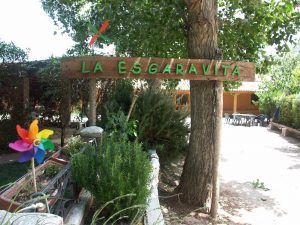Campamento de verano en inglés