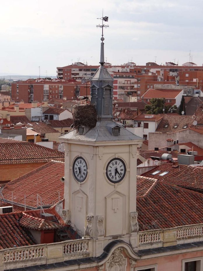Torre del reloj del Ayuntamiento
