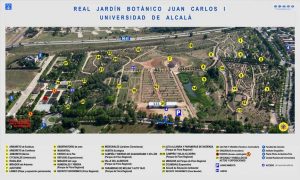 Real Jardín Botánico de Alcalá de Henares