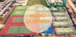 Torneo de Pádel para empresas