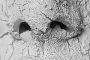 ¿Debes usar la misma cosmética todos los meses del año?