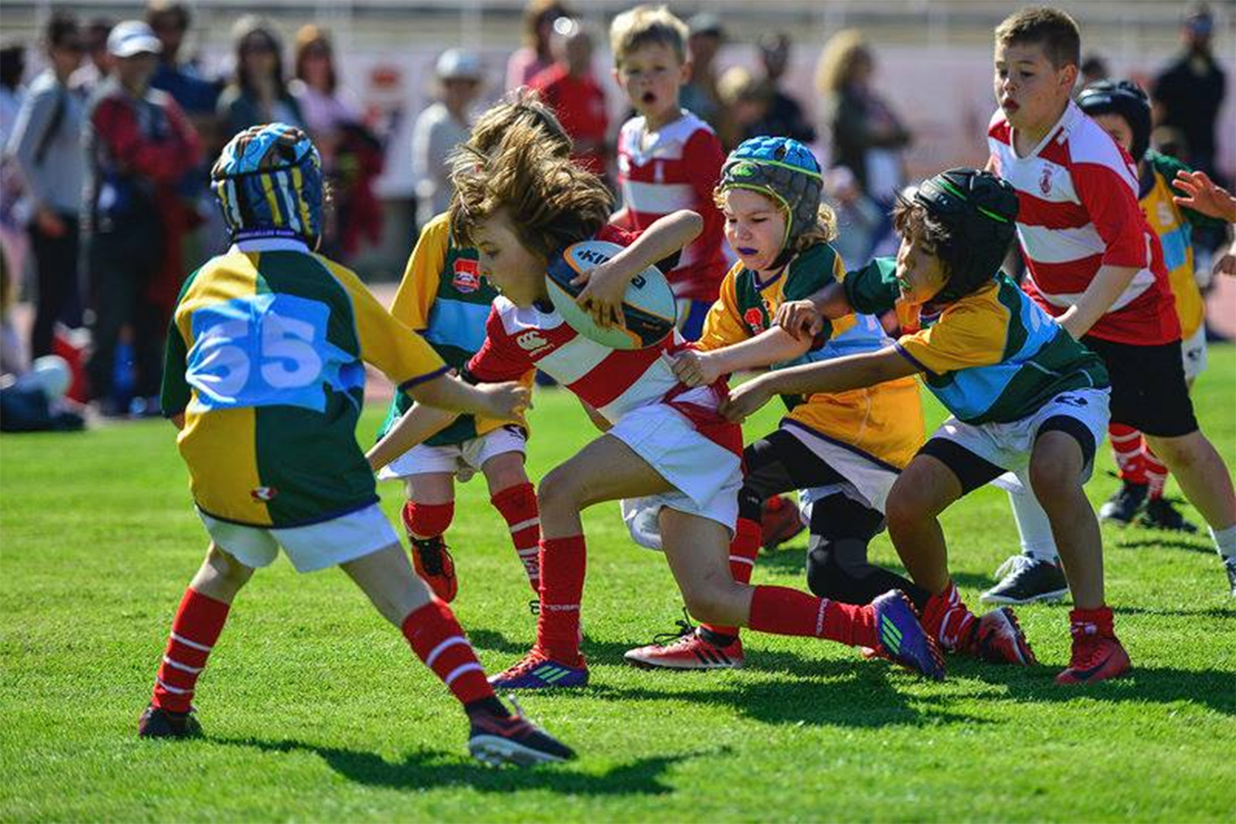 Madrid Comunidad Olímpica abre los colegios a los deportes ...