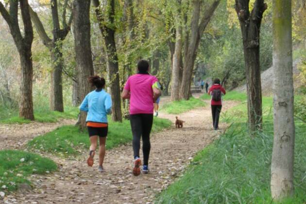 Rutas cardiosaludables en Alcalá de Henares