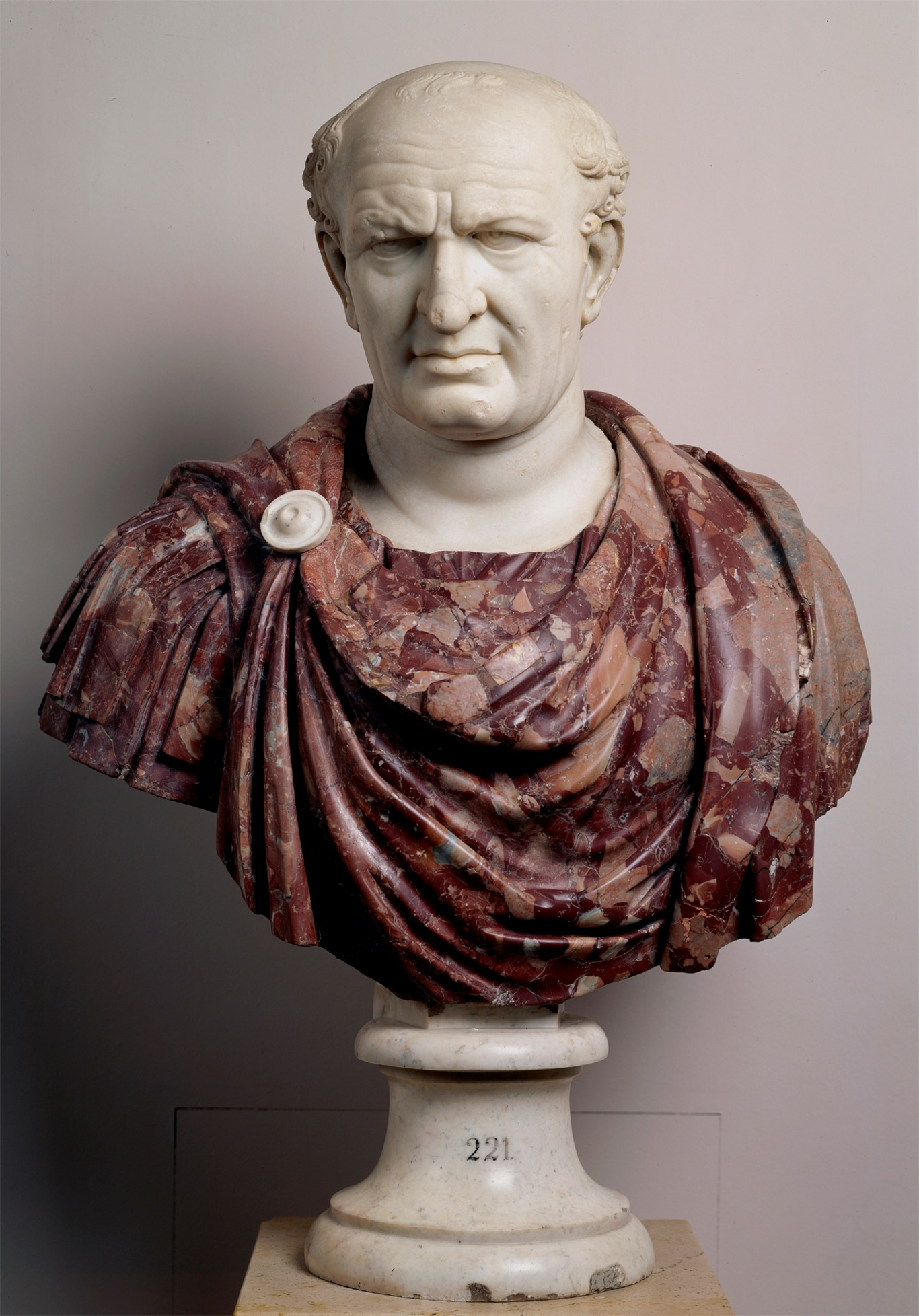 Vespasiano, el emperador 'alcalaíno' que construyó el Coliseo de Roma -  Dream Alcalá