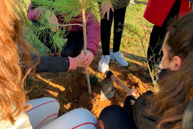Mi Cole es Verde: plantación de árboles en centros educativos para una ‘Alcalá Verde’