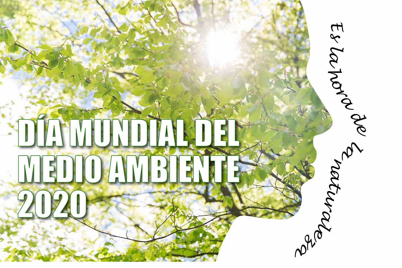 Día Mundial del Medio Ambiente, desde casa, en Alcalá de Henares ...