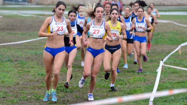 Abiertas las inscripciones gratuitas para el Cross Alcalá Patrimonio Mundial