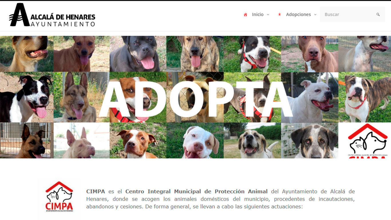 El Centro Integral Municipal de Protección Animal estrena nueva web - Dream  Alcalá