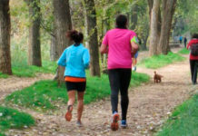 Programa de Rutas Ambientales de febrero a abril de 2026 en Alcalá de Henares