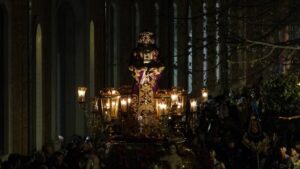 La Trinitaria de Medinaceli salió en todo su esplendor en la Semana Santa de Alcalá 2024