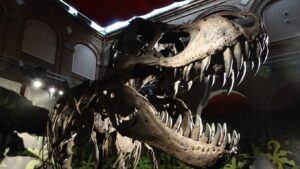 Exposición Cazadores de dragones: la historia de los dinosaurios en Alcalá de Henares