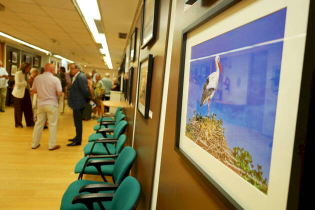 Inaugurada la exposición ‘Mayores con objetivo’, organizada por la AECC