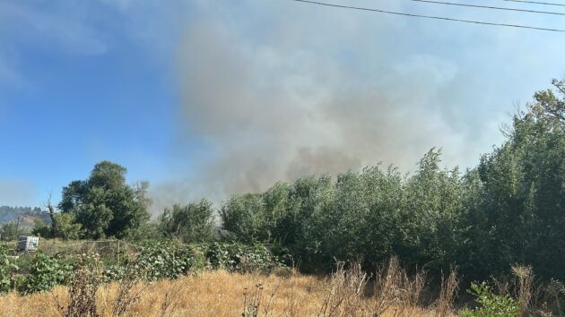 El PSOE de Alcalá culpa al equipo de Gobierno por el incendio de la Isla del Colegio