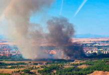 Identificados 21 presuntos autores de los incendios forestales intencionados de este verano en la región