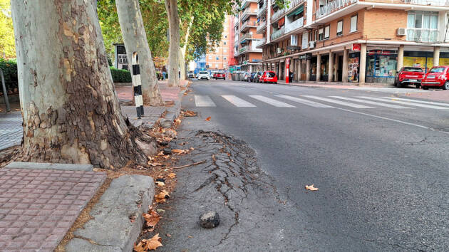 Más de 76.000 euros para la mejora de la calle Caballería Española