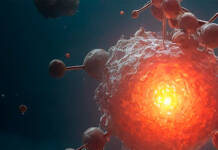 Noticias sobre el origen de la vida: Semana de la Ciencia en el Arqueológico Regional